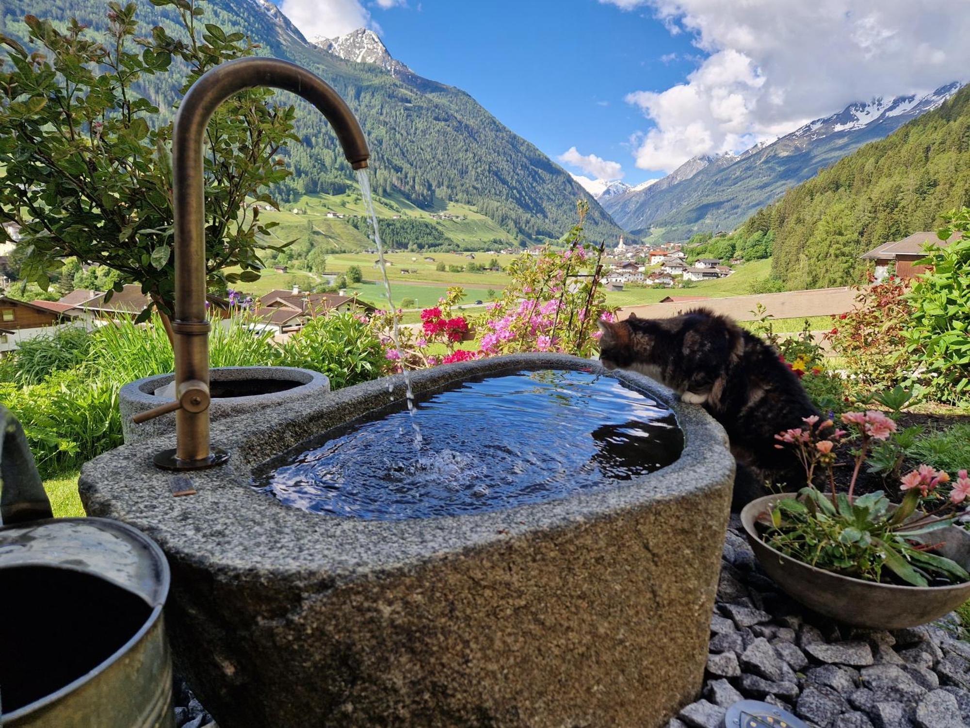 Appartement Klein&Fein à Neustift im Stubaital Extérieur photo